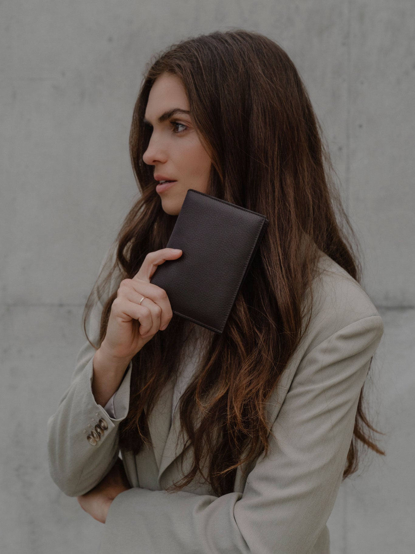 Rio Passport Holder — Chocolate